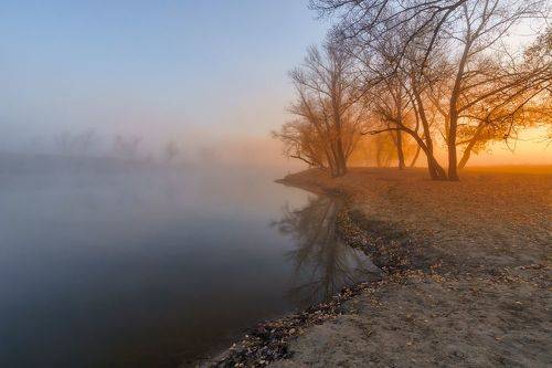 Утро у реки
