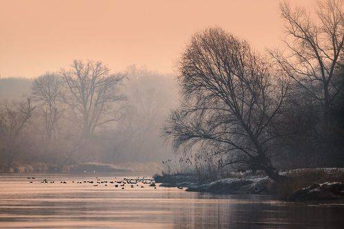 Odra river