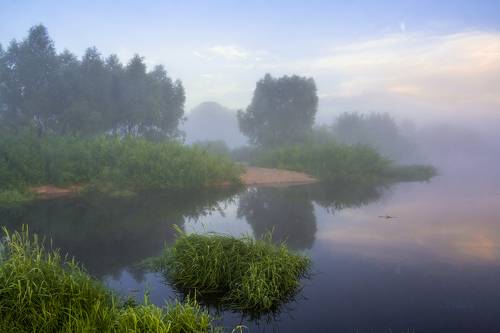 Летнее утро на речке.