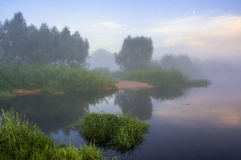 Летнее утро на речке. фото превью