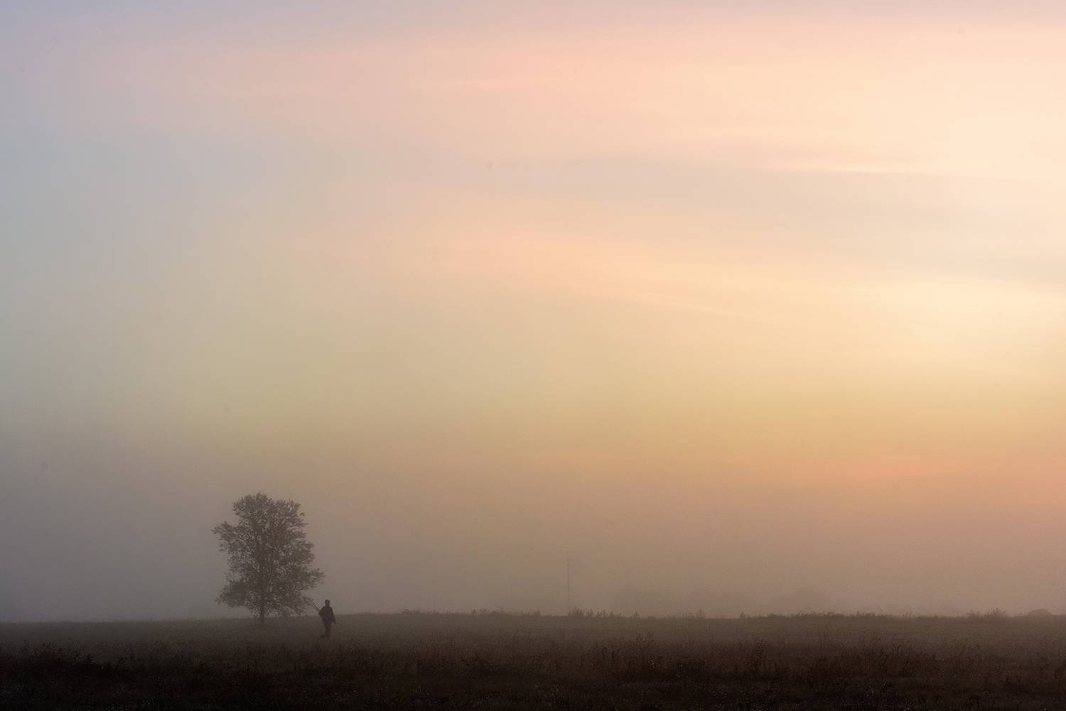 , Влад Шерман