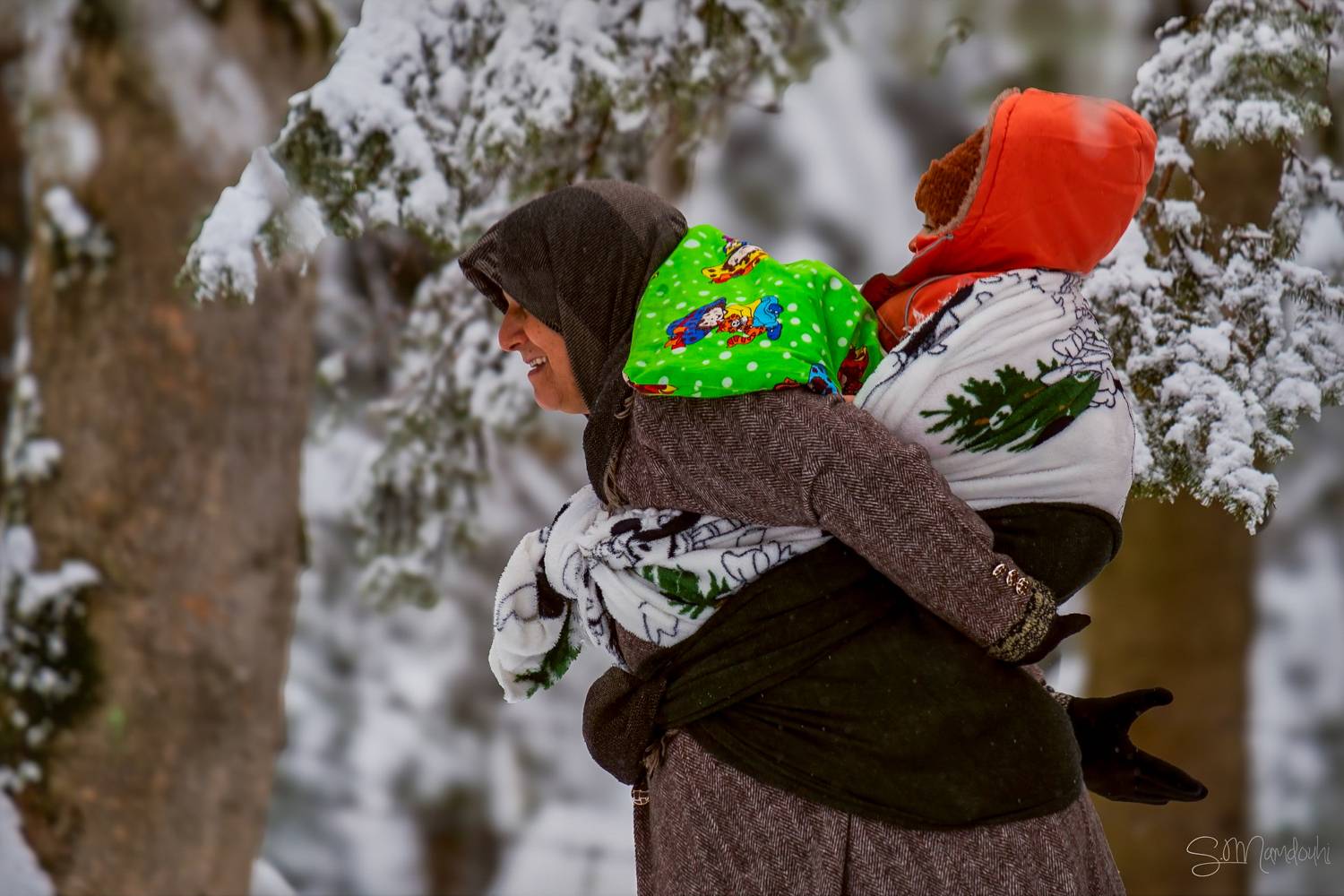 , سعید ممدوحی