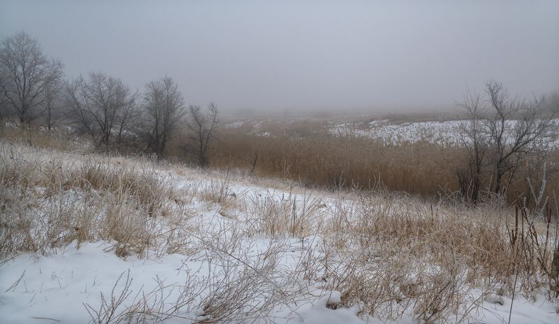 В тумане. фото превью