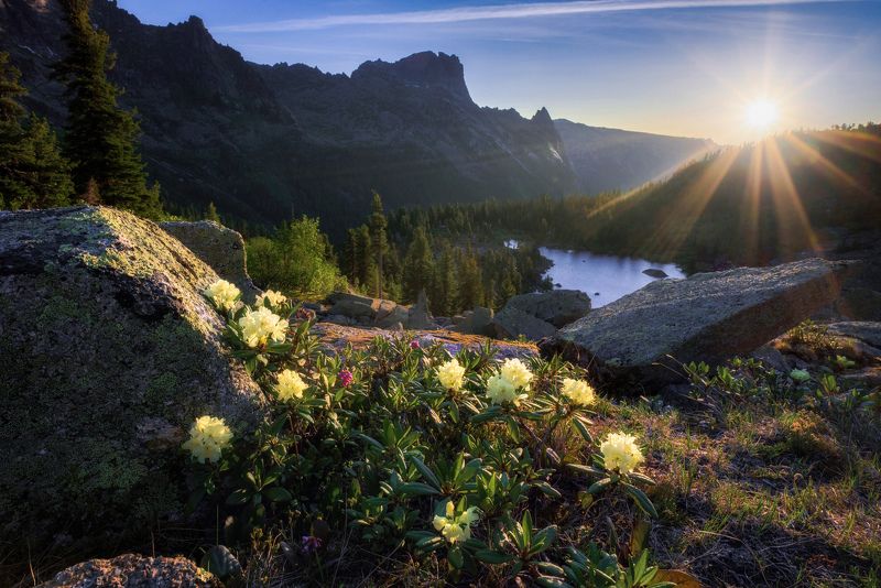 лучистое утро фото превью