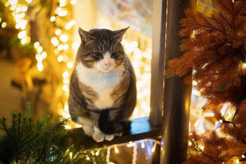 ...обдумывая итоги года