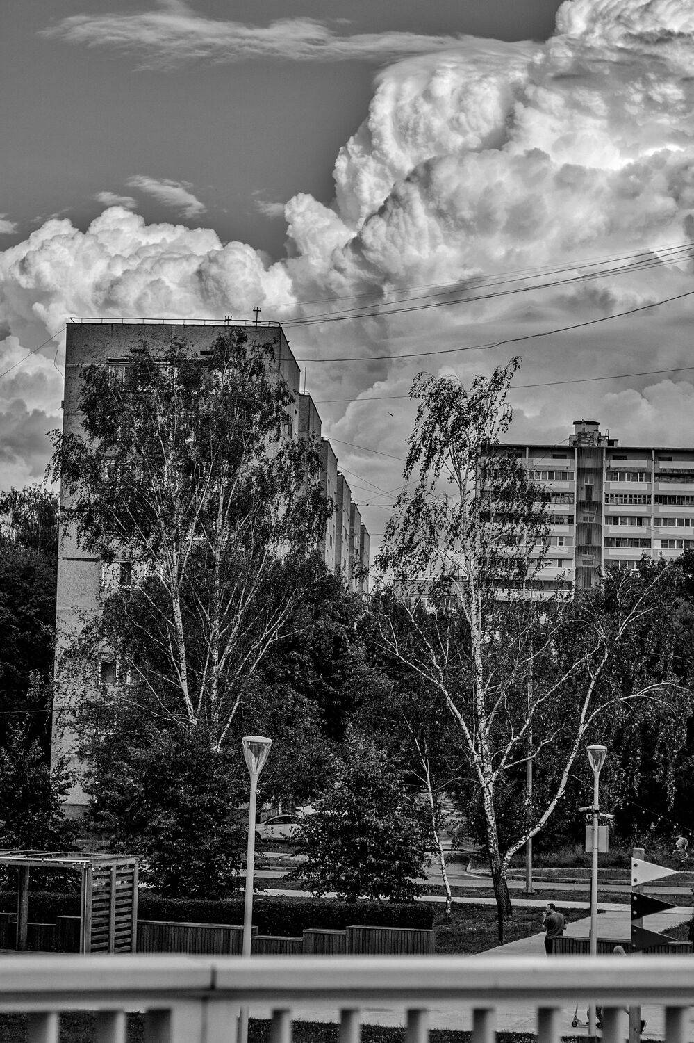 , Сахар Александр