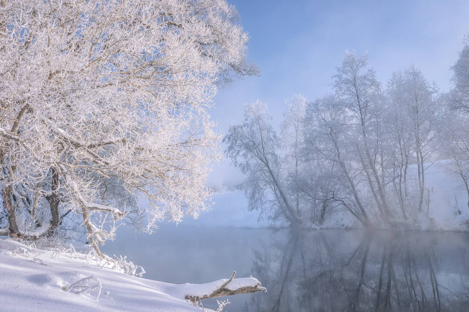истра, Гусева Елена