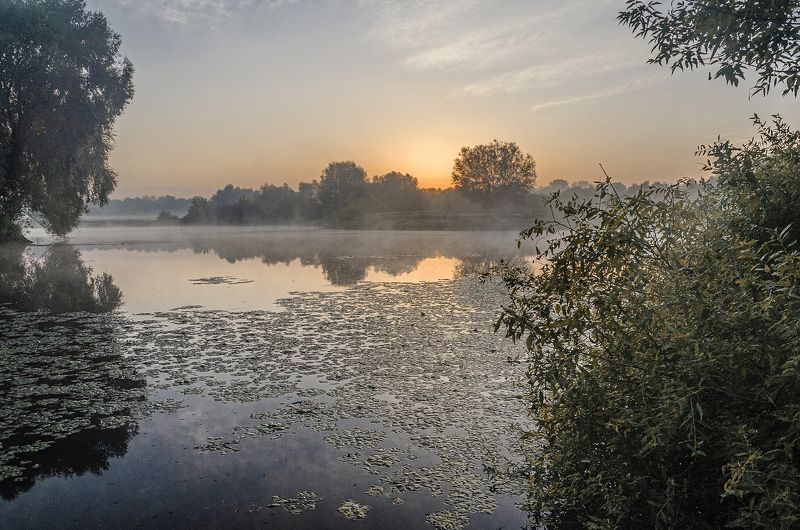 На рассвете фото превью