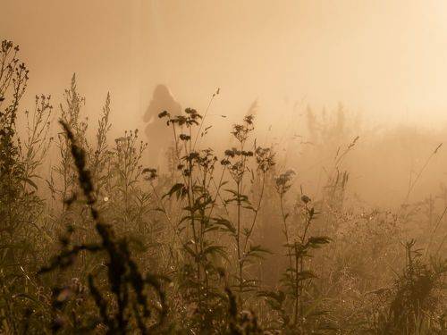 И вспомнилось мне лето...