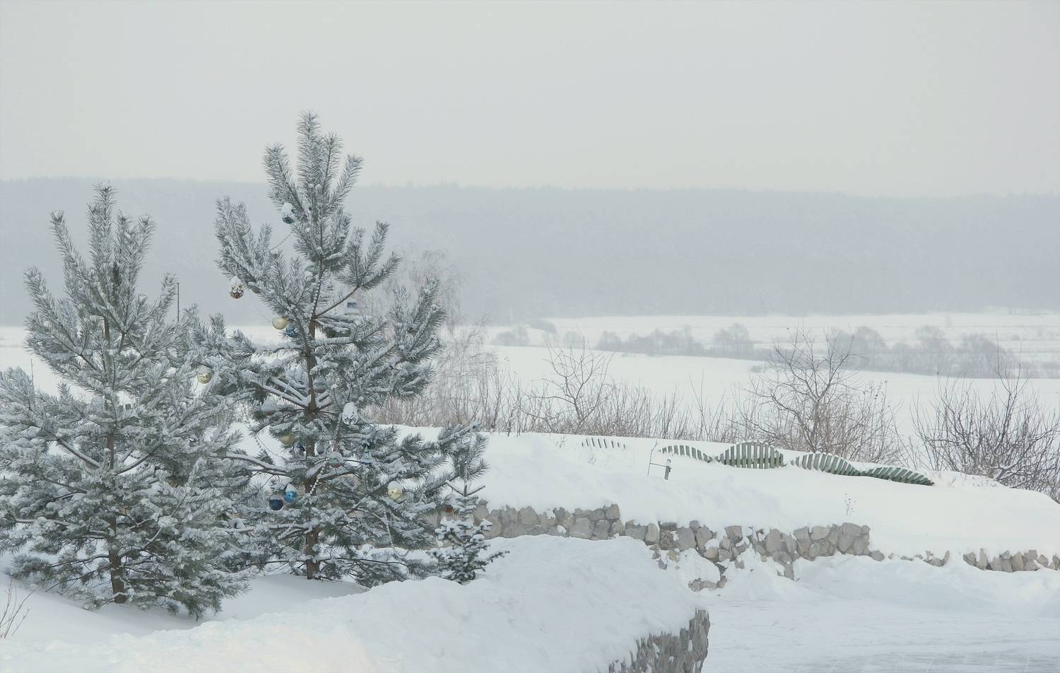 , Лайко Марина