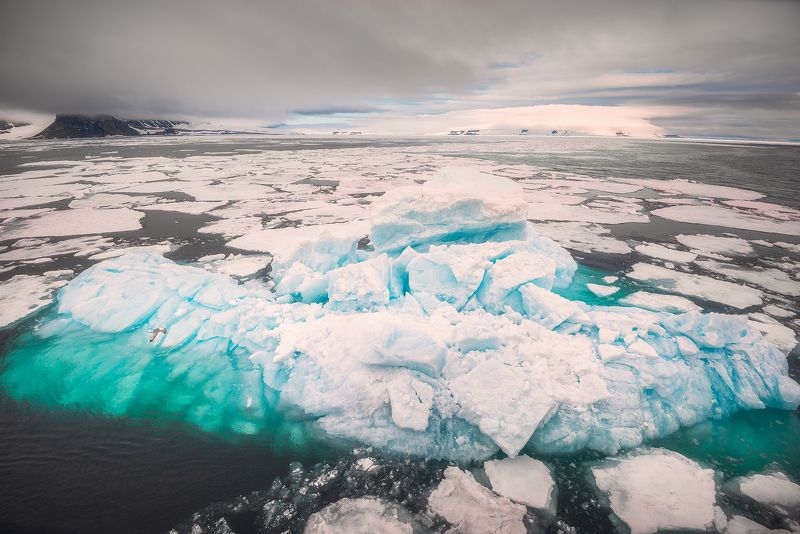 Айсберг фото превью
