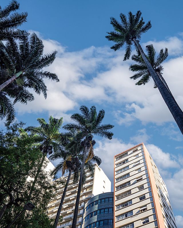 city, architecture, cities, brazil, travel, memory, trees, building, blue sky Buildings фото превью
