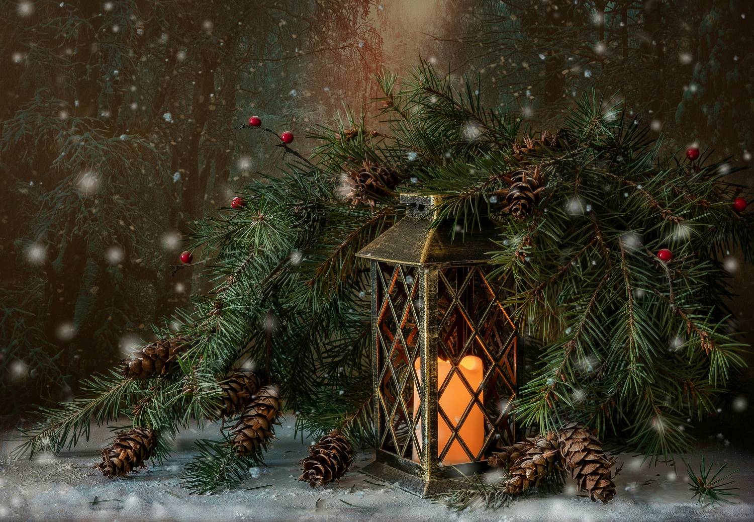 , Тришина Галина