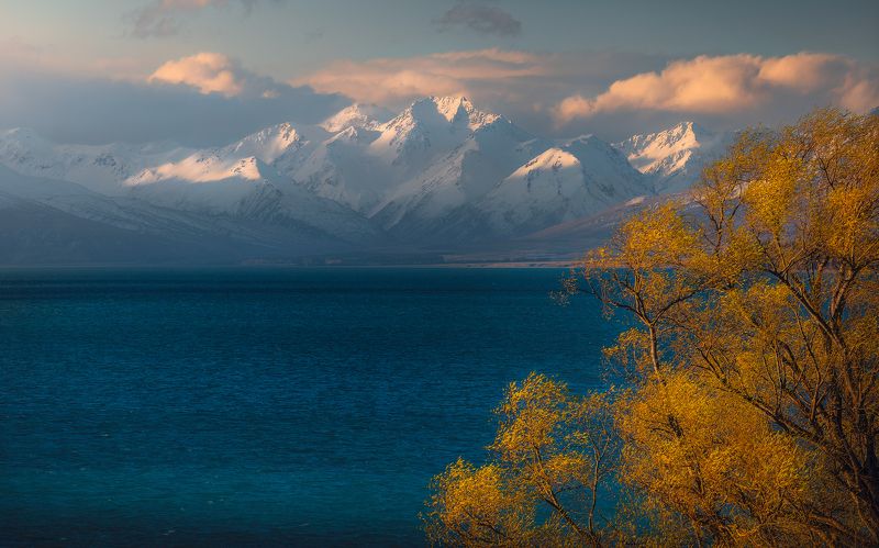 New Zealand, lake tekapo, landscape, spring, lake, travel White Giants фото превью