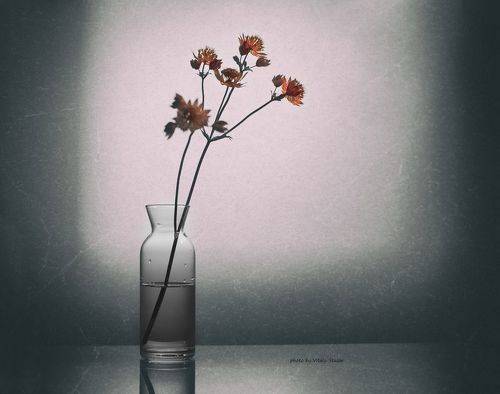 Повседневность.. В минимализме.