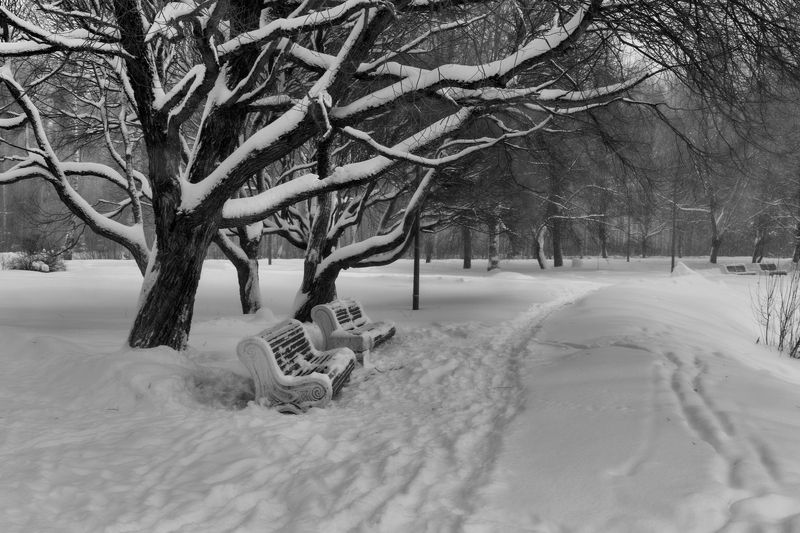 зимний парк фото превью