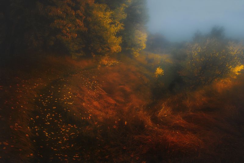 Осень в овраге. фото превью