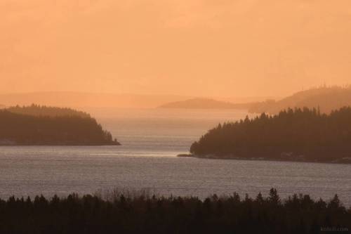 Северное Приладожье. Золотой час.