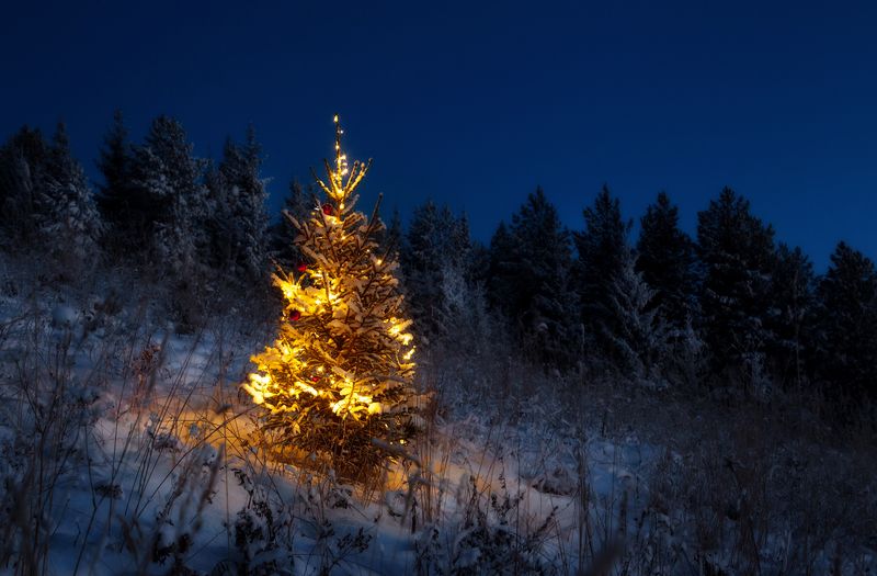 С новым годом! фото превью