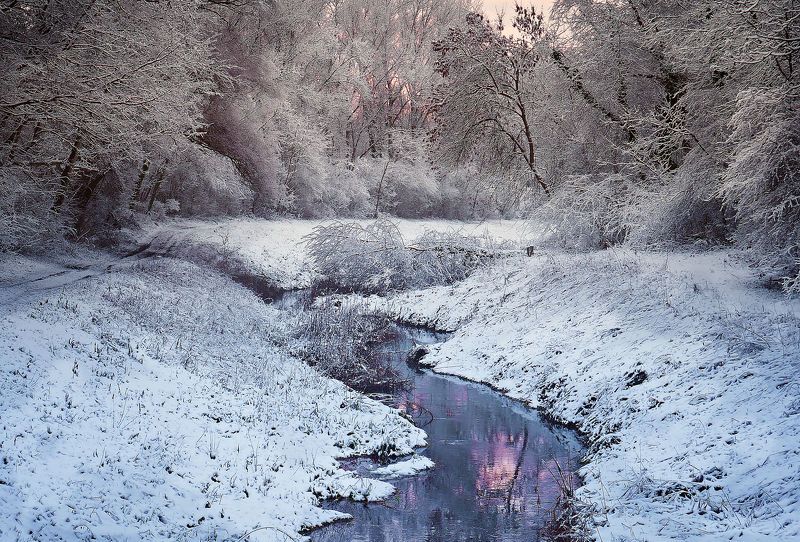 Winter is here 3 фото превью