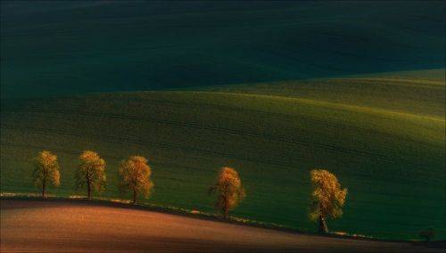 Пилигримы ..