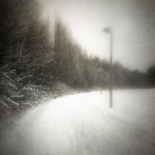 Послеснежье. День первый.