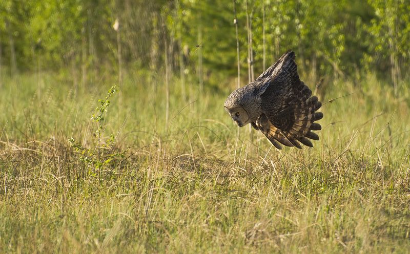 За секунду до.... :) фото превью