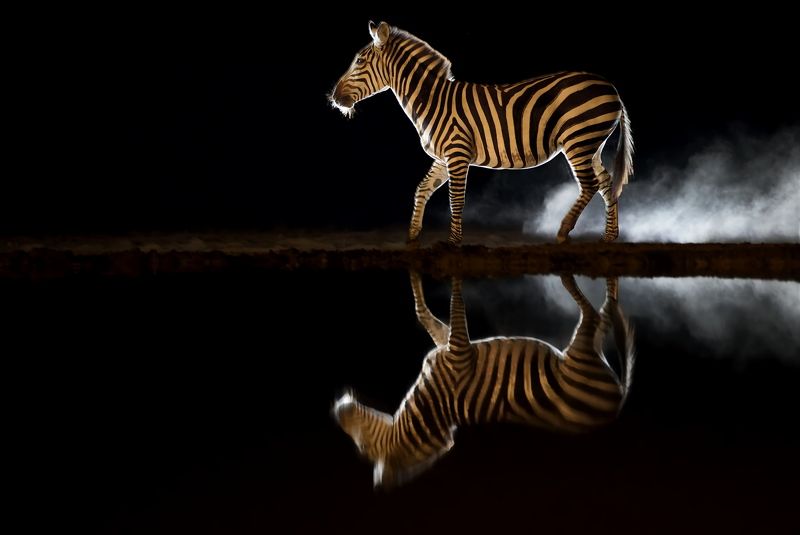 Ночное дефиле фото превью