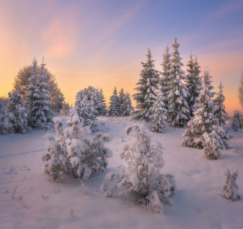 Укутанная снегом природа фото превью