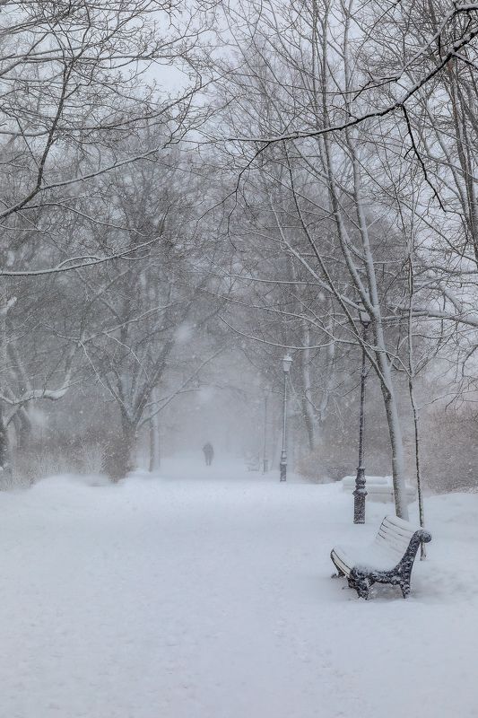 город, пейзаж, парк, зима, снег, метель непогода фото превью