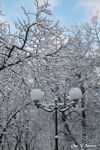 31 декабря 2024 г.