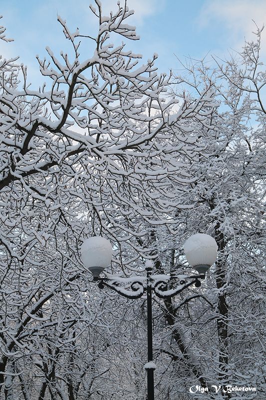 природа, снег, деревья, декабрь 31 декабря 2024 г. фото превью