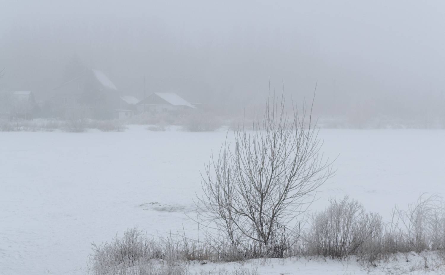 , Лысенко Сергей