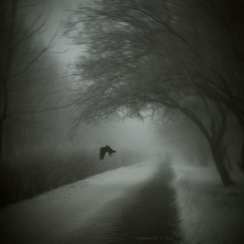 Untitled фото превью