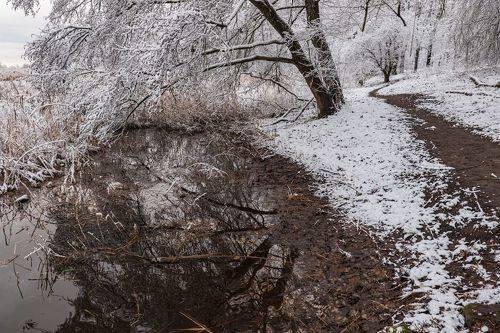 Первый снег (First snow)