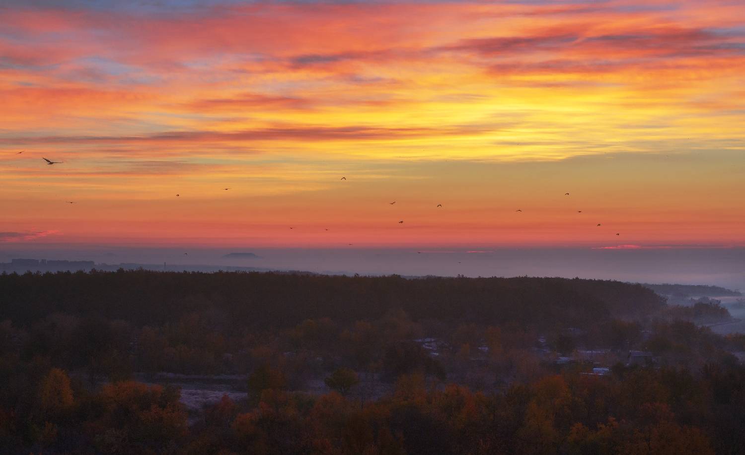 , Лысенко Сергей
