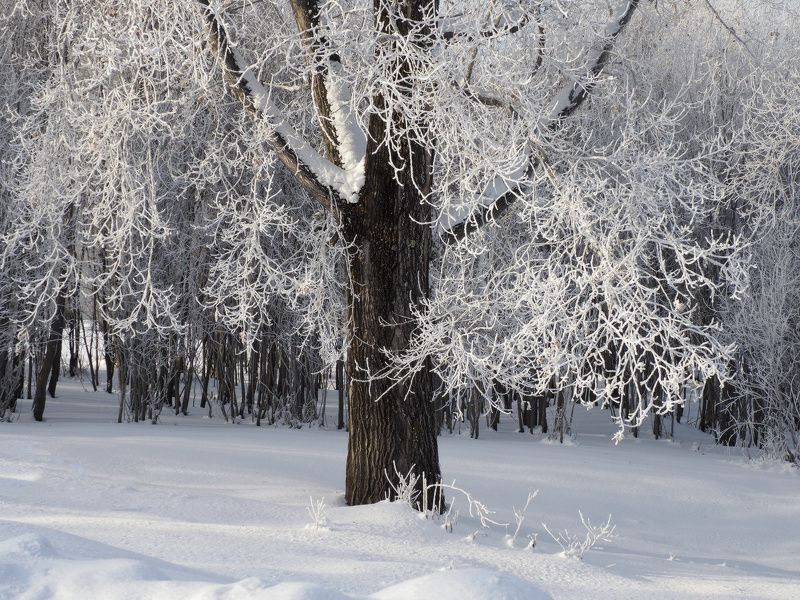Кружево фото превью