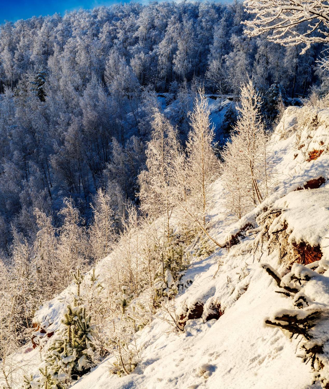 , Павел Ныриков