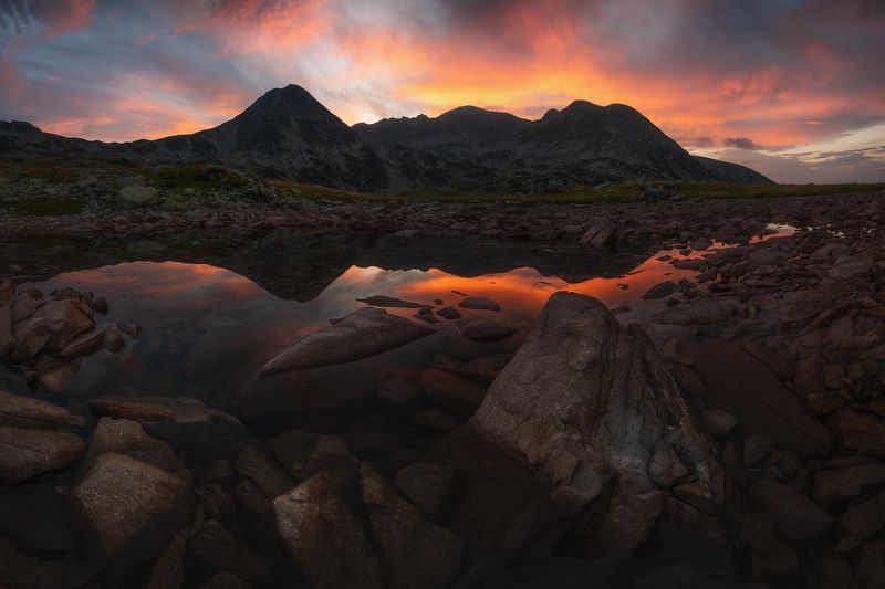 The silent mirage фото превью