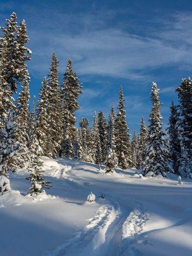 Январь, Ергаки