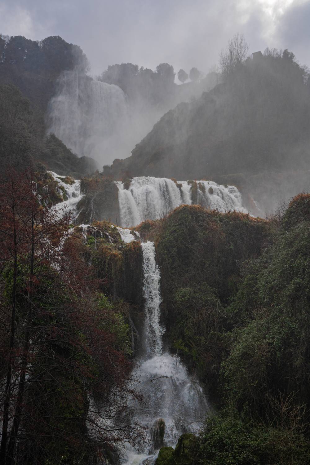 , Максимова Дария