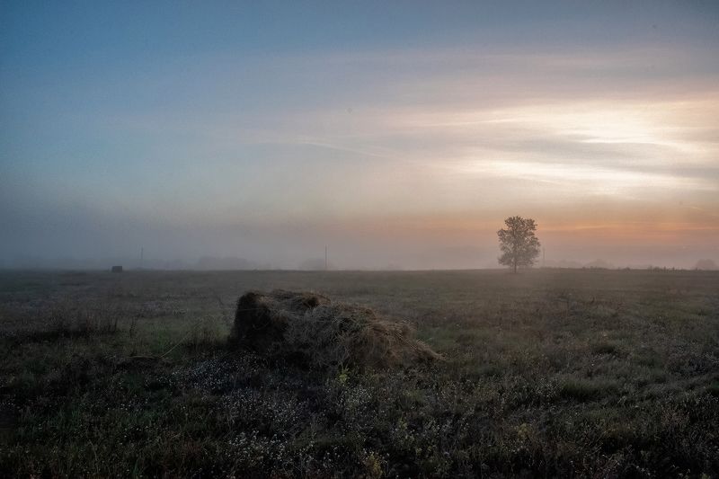 Туманы, туманы... фото превью
