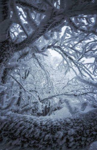Ставропольские зимние кружева
