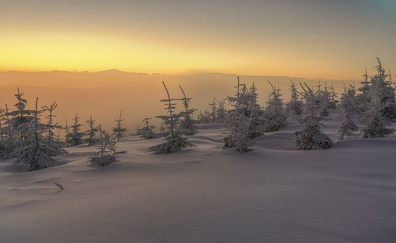 O świcie фото превью