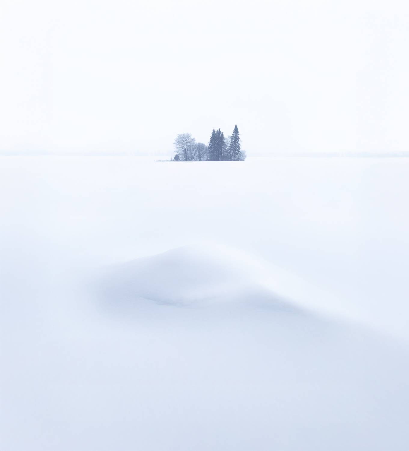 , Бушмакин Егор