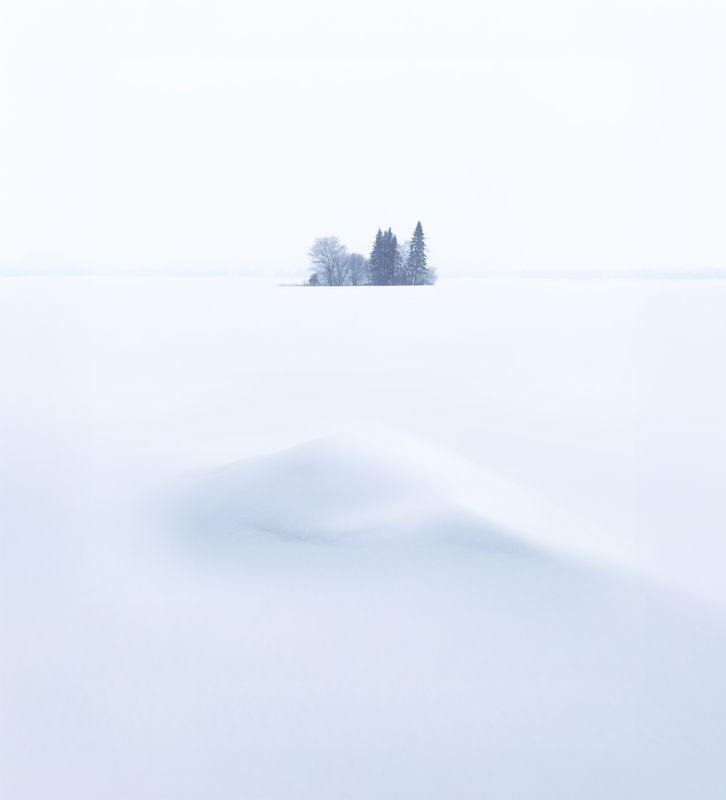 White фото превью