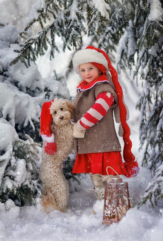 фото превью