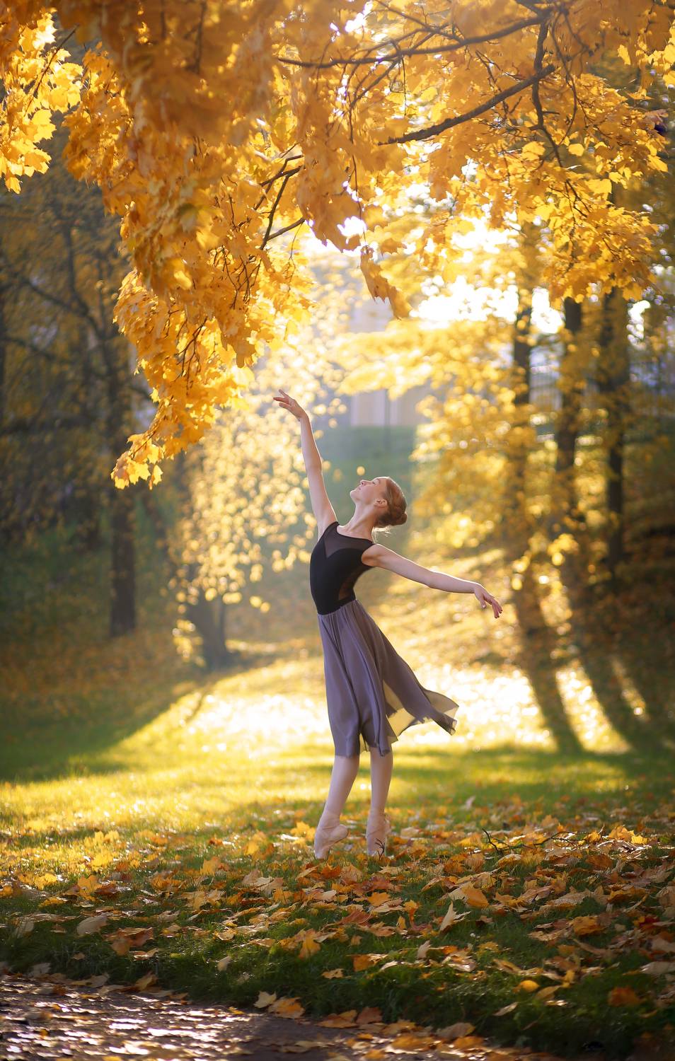 балерина, балет, девушка, красивая, гибкость, на природе, движение, танец, хореография, фотография, фигура, портрет, свет, Постонен Екатерина