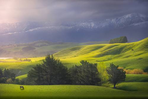 Glowing Kaikoura 