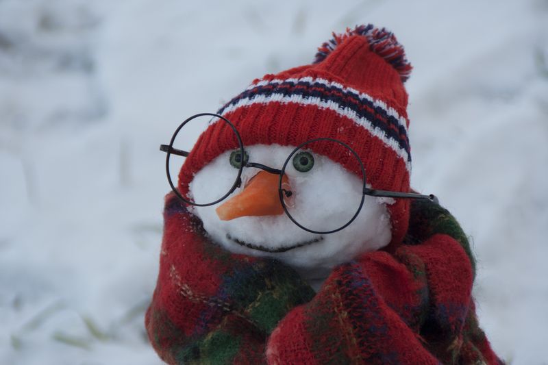 январское фото превью